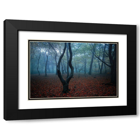 My Autumn Room Black Modern Wood Framed Art Print with Double Matting by Hoandra, Nicu