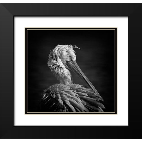 Pelican Black Modern Wood Framed Art Print with Double Matting by Tjandra, C.S.