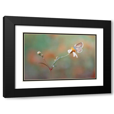 Nangkring Indah Black Modern Wood Framed Art Print with Double Matting by Isna Maulana, Adi