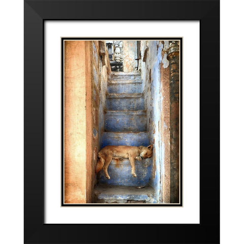 Nap Time Black Modern Wood Framed Art Print with Double Matting by Labagnara, Roxana