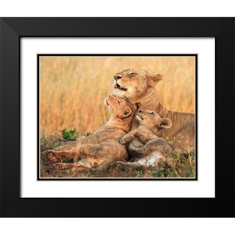 Mothers Love Black Modern Wood Framed Art Print with Double Matting by Marx, Jaco
