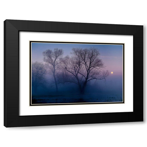 Another New Day Black Modern Wood Framed Art Print with Double Matting by Agazzi, Andreas