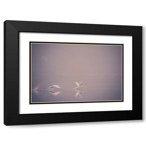 Foggy Takeoff Black Modern Wood Framed Art Print with Double Matting by Dalheim, Jonas