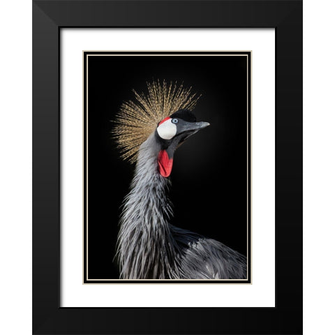 The Queen Black Modern Wood Framed Art Print with Double Matting by Fegari