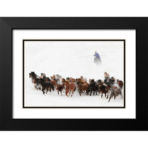 Horse Run In The Snow Black Modern Wood Framed Art Print with Double Matting by Wong, Adam