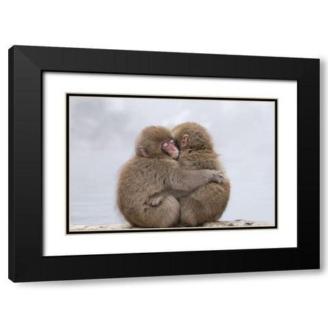 Forever Friends Black Modern Wood Framed Art Print with Double Matting by Marumoto, Takeshi