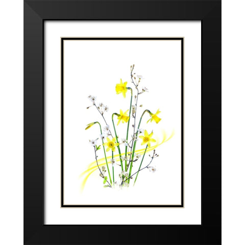 Simply Spring Black Modern Wood Framed Art Print with Double Matting by Parker, Jacky
