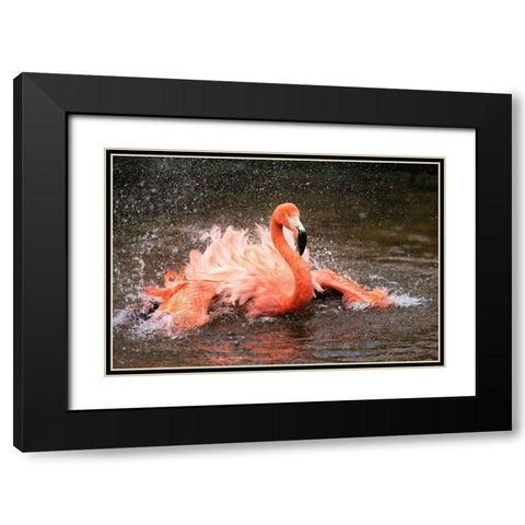 Bath Black Modern Wood Framed Art Print with Double Matting by Fan, John
