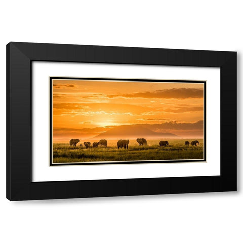 Golden Africa Black Modern Wood Framed Art Print with Double Matting by J. Chen, John