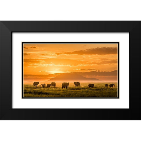 Golden Africa Black Modern Wood Framed Art Print with Double Matting by J. Chen, John