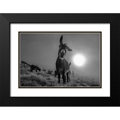 Friend Black Modern Wood Framed Art Print with Double Matting by Traverso, Alessandro