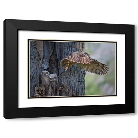 My Babies Are Hangry Black Modern Wood Framed Art Print with Double Matting by Feng, Young