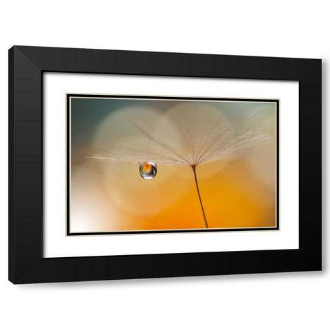 Little Night Music... Black Modern Wood Framed Art Print with Double Matting by Nan, Juliana