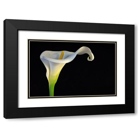 Cala-Lirio De Agua Black Modern Wood Framed Art Print with Double Matting by Rodriguez Maldonado, Antonio