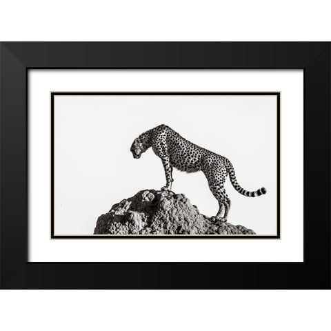 The Hunter Black Modern Wood Framed Art Print with Double Matting by ali