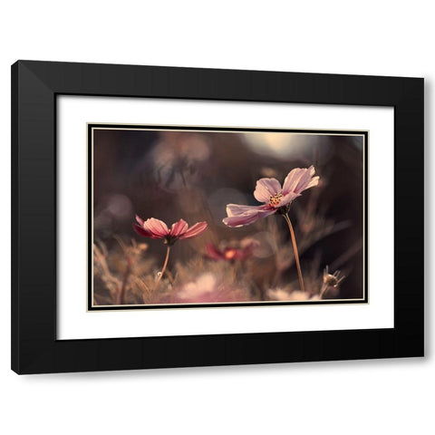 Flowers Of Innocence Black Modern Wood Framed Art Print with Double Matting by Bravin, Fabien