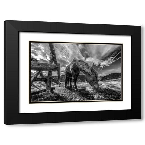 The Horse Black Modern Wood Framed Art Print with Double Matting by Faris