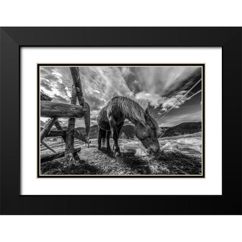 The Horse Black Modern Wood Framed Art Print with Double Matting by Faris