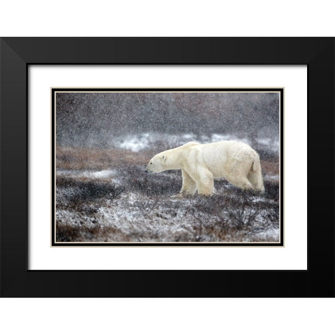 Snowing Time Black Modern Wood Framed Art Print with Double Matting by Catta, Alessandro
