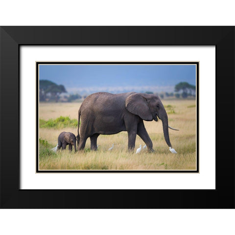 Life Black Modern Wood Framed Art Print with Double Matting by Feng, Young