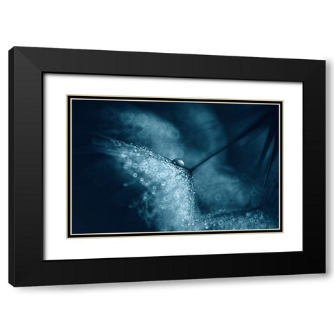 Blue Dandelions Black Modern Wood Framed Art Print with Double Matting by Blagoeva, Ivelina