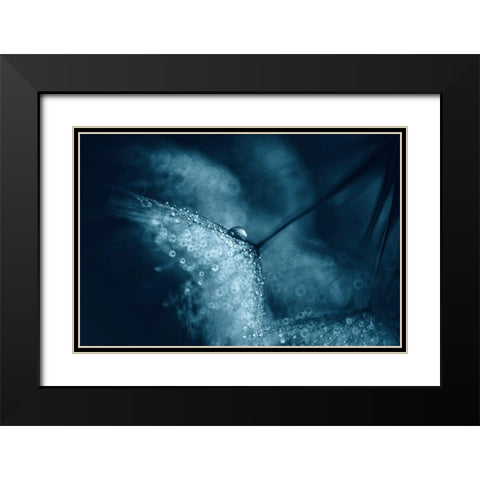 Blue Dandelions Black Modern Wood Framed Art Print with Double Matting by Blagoeva, Ivelina