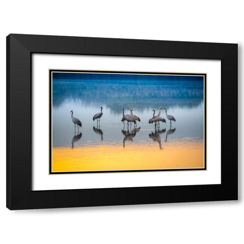 Untitled Black Modern Wood Framed Art Print with Double Matting by Amer, Eyal