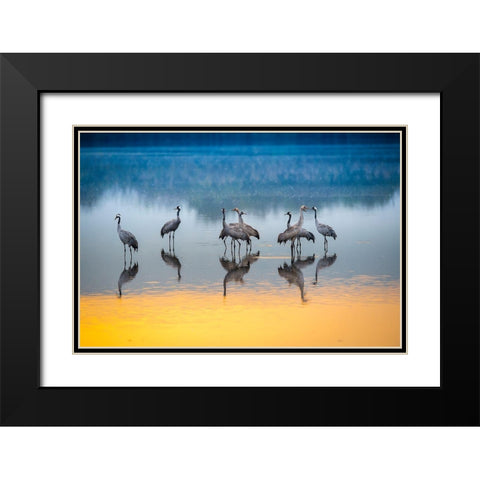 Untitled Black Modern Wood Framed Art Print with Double Matting by Amer, Eyal