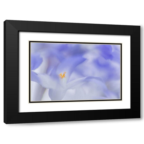 Blue Waves Black Modern Wood Framed Art Print with Double Matting by De Hoog, Roelof
