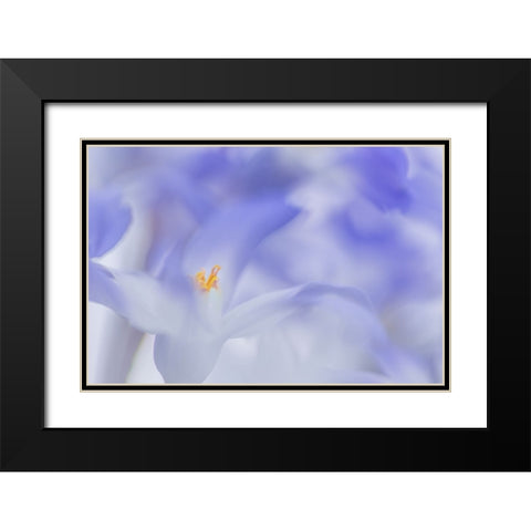 Blue Waves Black Modern Wood Framed Art Print with Double Matting by De Hoog, Roelof