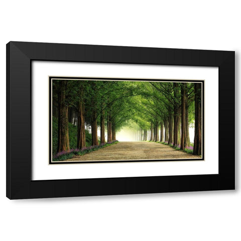 Metasequoia Road Black Modern Wood Framed Art Print with Double Matting by Seo, Tiger