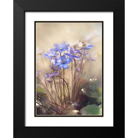 Spring... Black Modern Wood Framed Art Print with Double Matting by Anca, Iacob