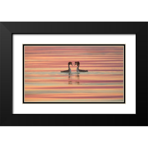Lovers Black Modern Wood Framed Art Print with Double Matting by Marchegiani, Roberto