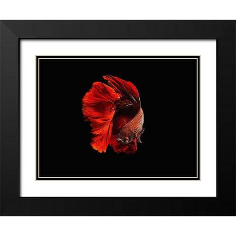 The Red Black Modern Wood Framed Art Print with Double Matting by Halil, Andi