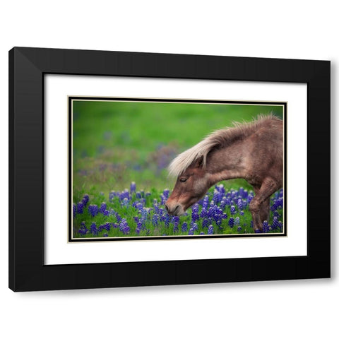 Spring Is In The Air... Black Modern Wood Framed Art Print with Double Matting by Zheng, Michael