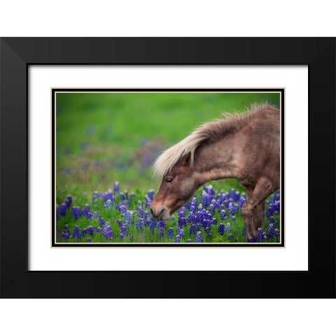 Spring Is In The Air... Black Modern Wood Framed Art Print with Double Matting by Zheng, Michael