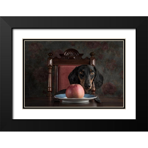 An Apple A Day Keeps The Doctor Away... Black Modern Wood Framed Art Print with Double Matting by Willers, Heike