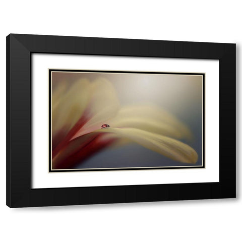 The Journey Black Modern Wood Framed Art Print with Double Matting by Pamungkas, Edy