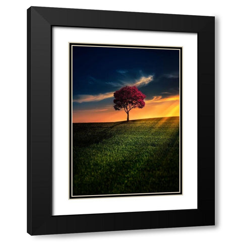 Awesome Solitude Black Modern Wood Framed Art Print with Double Matting by Hamiti, Bess