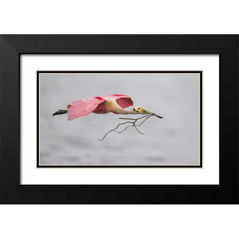 Pink And Grey Black Modern Wood Framed Art Print with Double Matting by Barsh, Greg