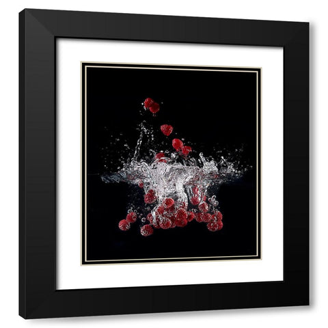 Raspberry Splash Black Modern Wood Framed Art Print with Double Matting by Stefan, Mogyorosi