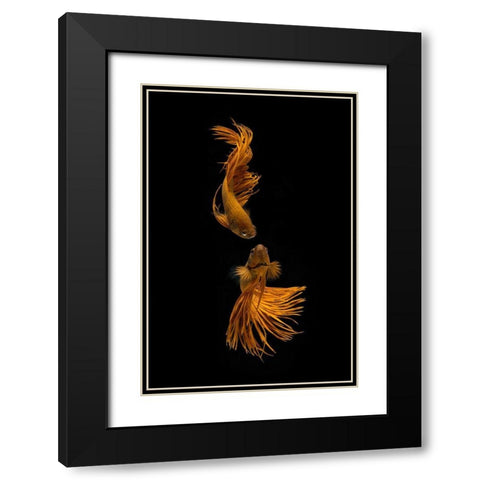 Love Story Of The Golden Fish Black Modern Wood Framed Art Print with Double Matting by Rahayu, Ganjar