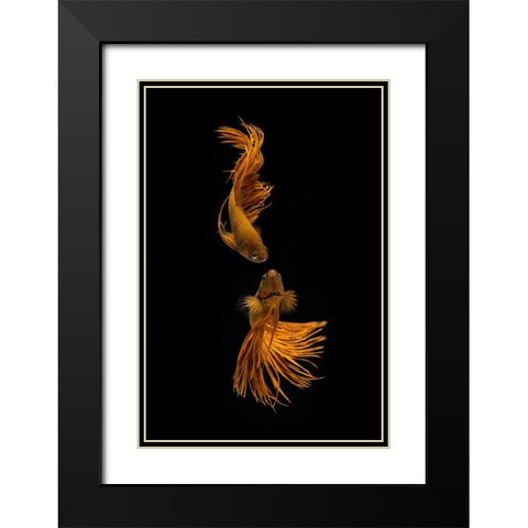 Love Story Of The Golden Fish Black Modern Wood Framed Art Print with Double Matting by Rahayu, Ganjar