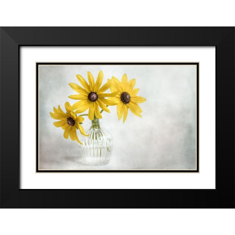 Rudbeckia Black Modern Wood Framed Art Print with Double Matting by Disher, Mandy