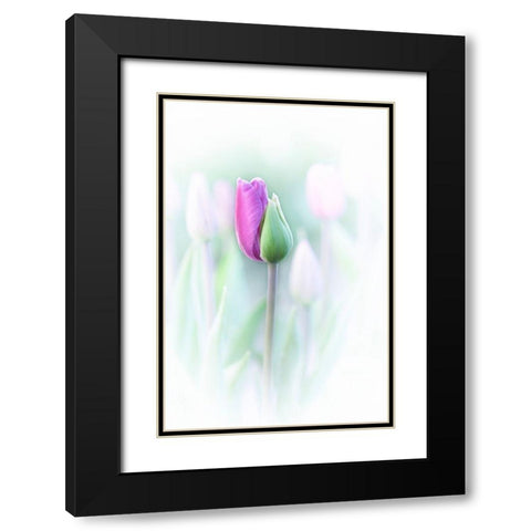 Elegant Black Modern Wood Framed Art Print with Double Matting by Jacobs, Lydia