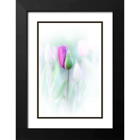 Elegant Black Modern Wood Framed Art Print with Double Matting by Jacobs, Lydia