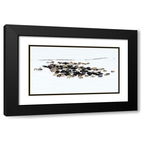 Yaks In Snow Black Modern Wood Framed Art Print with Double Matting by Zhu, Hua