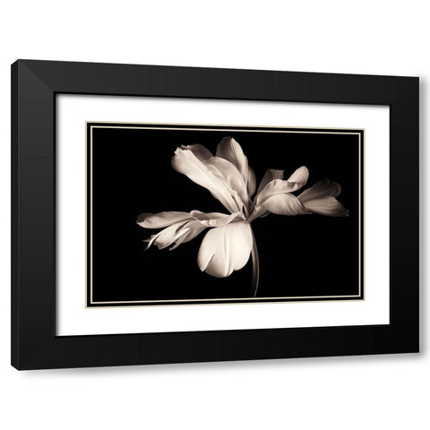 Untitled Black Modern Wood Framed Art Print with Double Matting by Myles, Penny