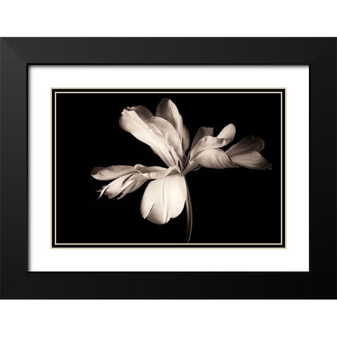 Untitled Black Modern Wood Framed Art Print with Double Matting by Myles, Penny