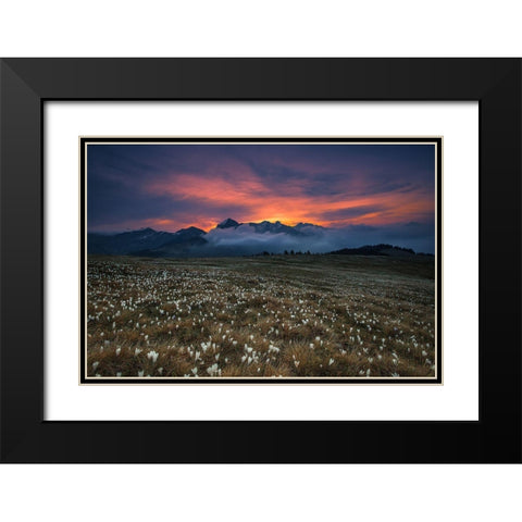 Blooming Dawn Black Modern Wood Framed Art Print with Double Matting by Manzoni, Michel